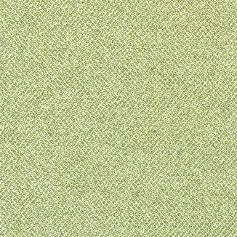W81712 Thibaut Kiwi Fabric