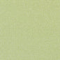 W81712 Thibaut Kiwi Fabric