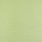 W81716 Thibaut Kiwi Fabric