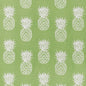 W81747 Thibaut Kiwi Fabric