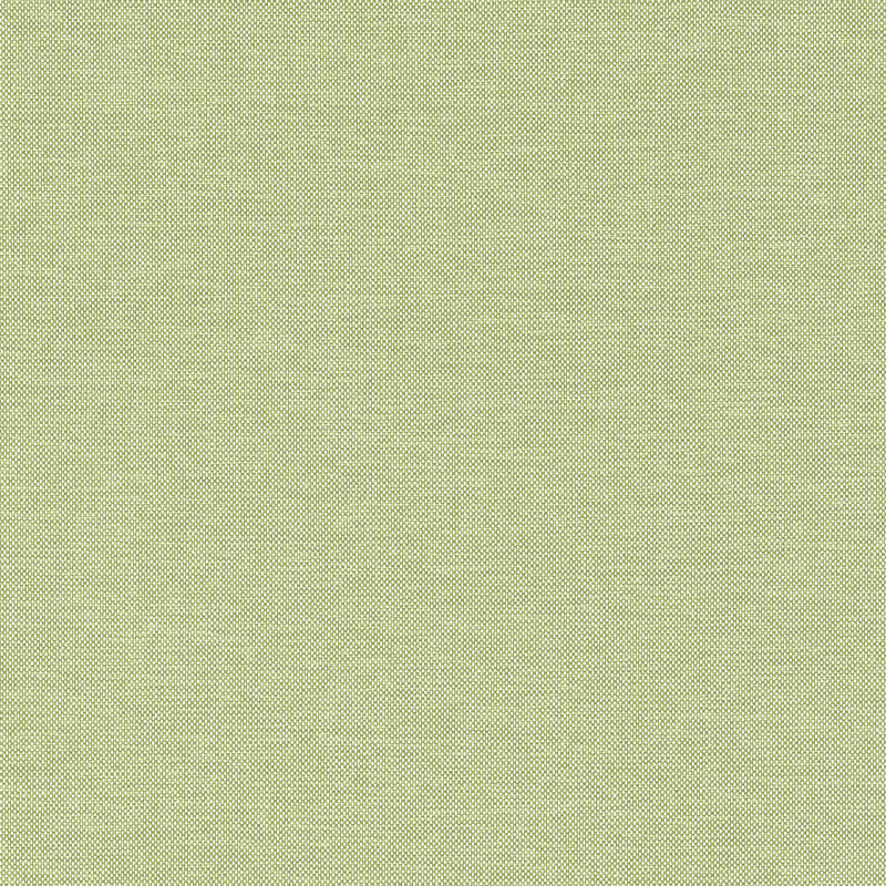 W81759 Thibaut Kiwi Fabric