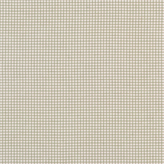 W81916 Thibaut Sweet Pea Fabric