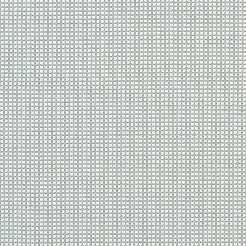 W81917 Thibaut Powder Fabric