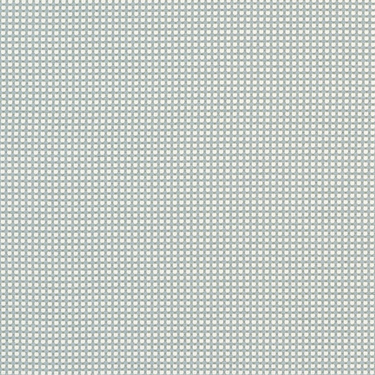 W81917 Thibaut Powder Fabric