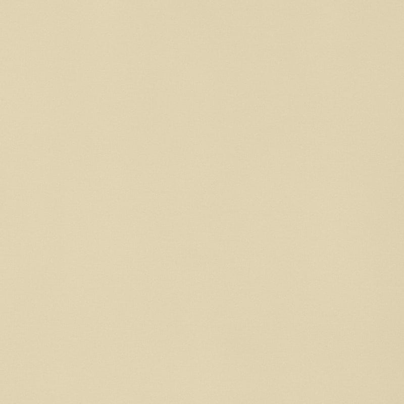 W8908 Thibaut Suede Fabric