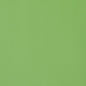 W8924 Thibaut Grass Fabric