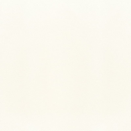 W9013 Thibaut Ivory Fabric