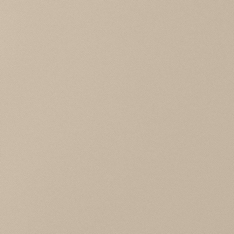 W9016 Thibaut Dune Fabric