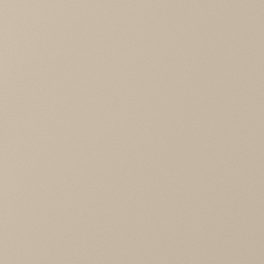 W9016 Thibaut Dune Fabric
