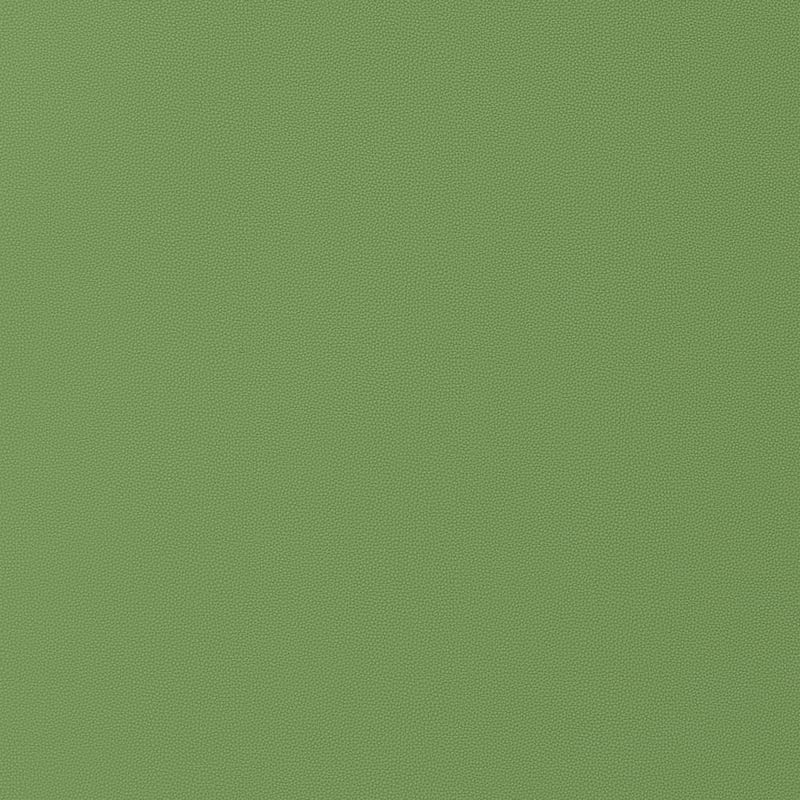 W9028 Thibaut Kiwi Fabric
