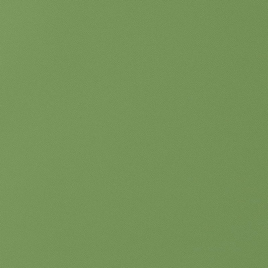 W9028 Thibaut Kiwi Fabric