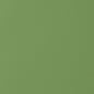 W9028 Thibaut Kiwi Fabric