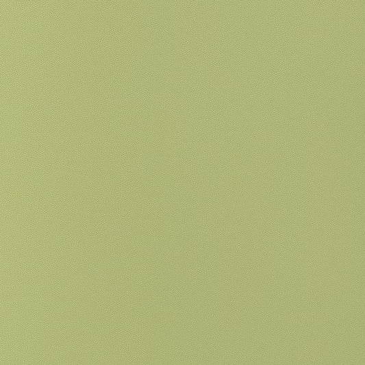W9029 Thibaut Apple Fabric