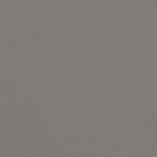 W9033 Thibaut Ash Fabric