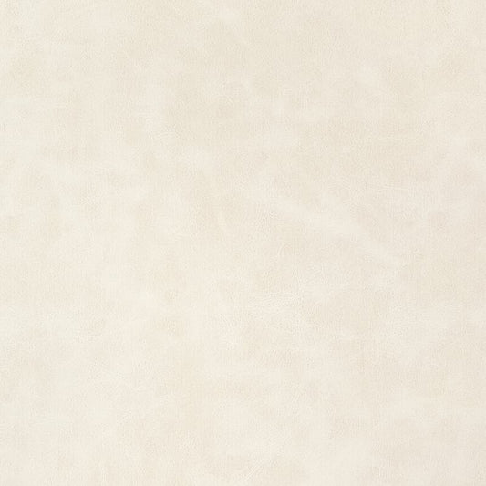 W9036 Thibaut Almond Fabric