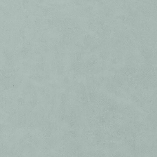 W9042 Thibaut Cloud Fabric
