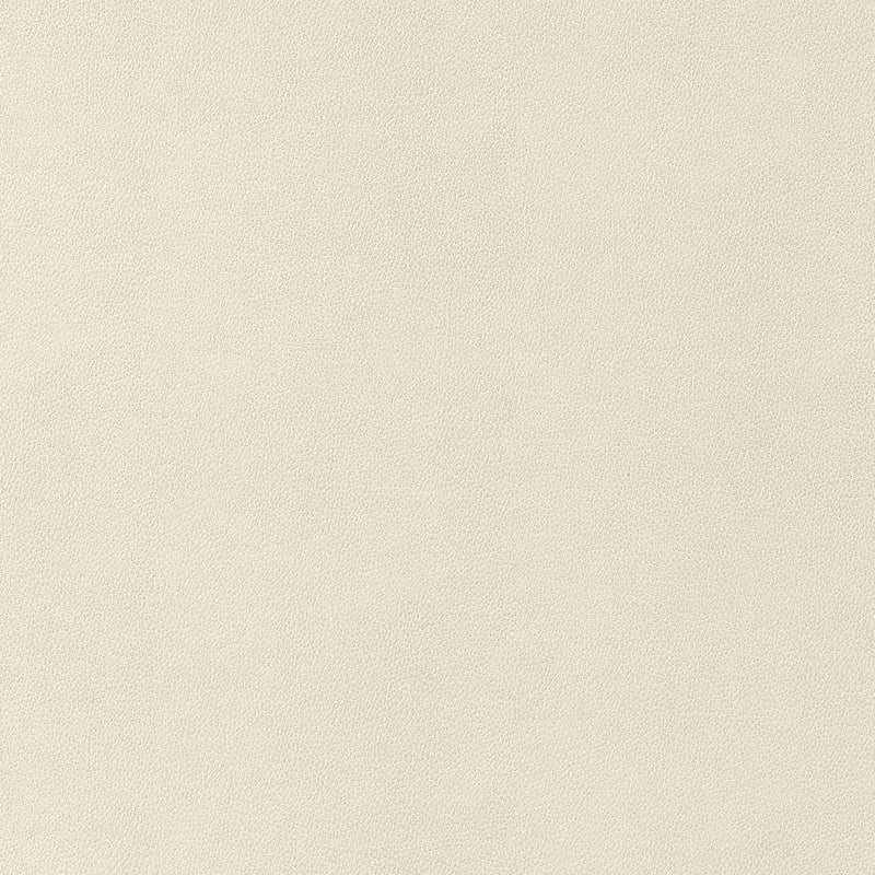 W9049 Thibaut Ecru Fabric