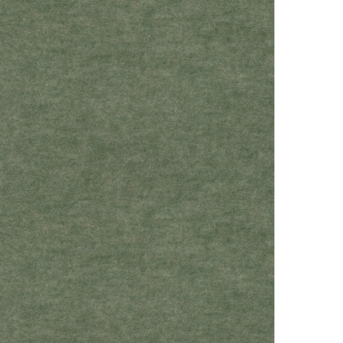 WAC1216-WT REPOSE HUNTER WINFIELD THYBONY Wallpaper