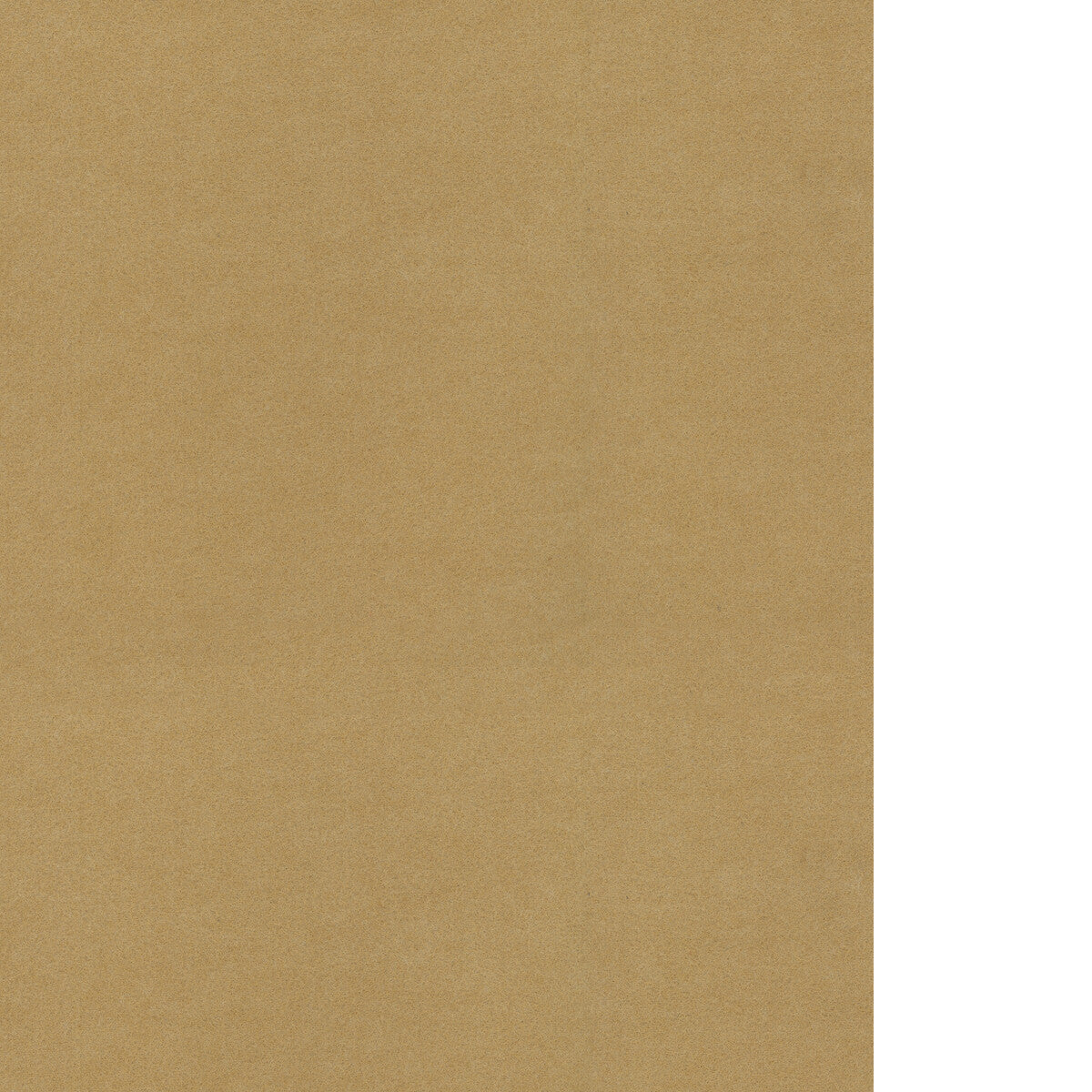 WAC1217-WT REPOSE CURRY WINFIELD THYBONY Wallpaper