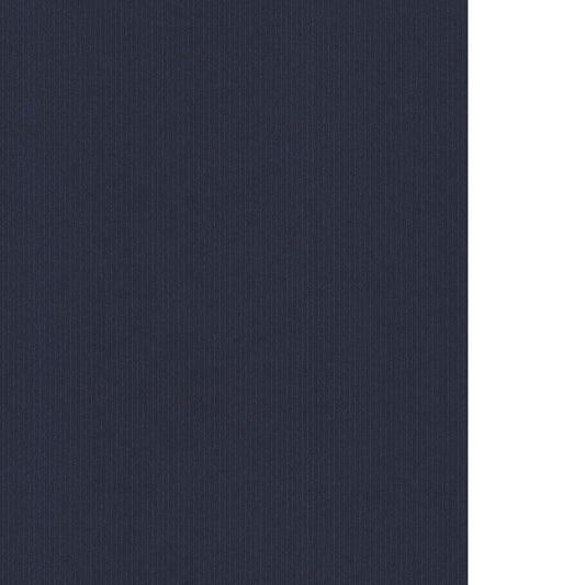 WAC1229-WT INTERLUDE NAVY WINFIELD THYBONY Wallpaper