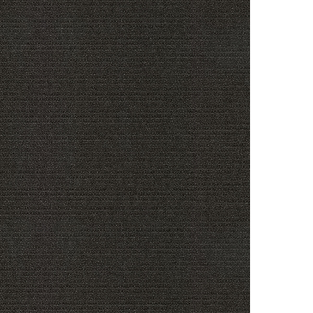 WAC1240-WT SILHOUETTE BLACK WINFIELD THYBONY Wallpaper