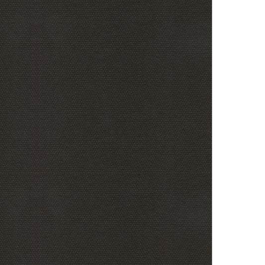 WAC1240-WT SILHOUETTE BLACK WINFIELD THYBONY Wallpaper