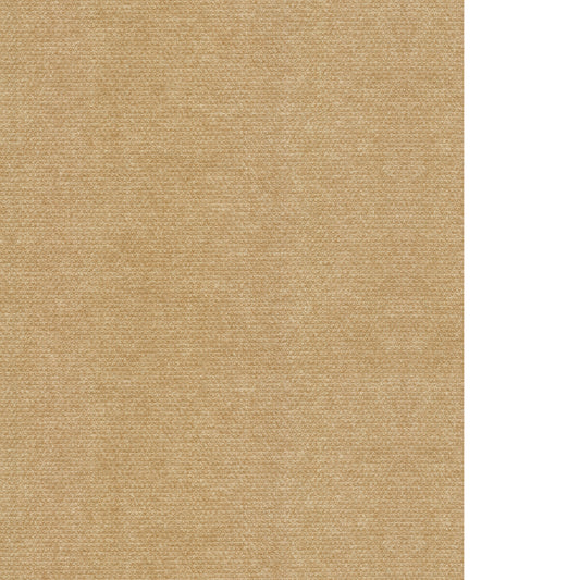 WAC1241-WT SILHOUETTE CURRY WINFIELD THYBONY Wallpaper