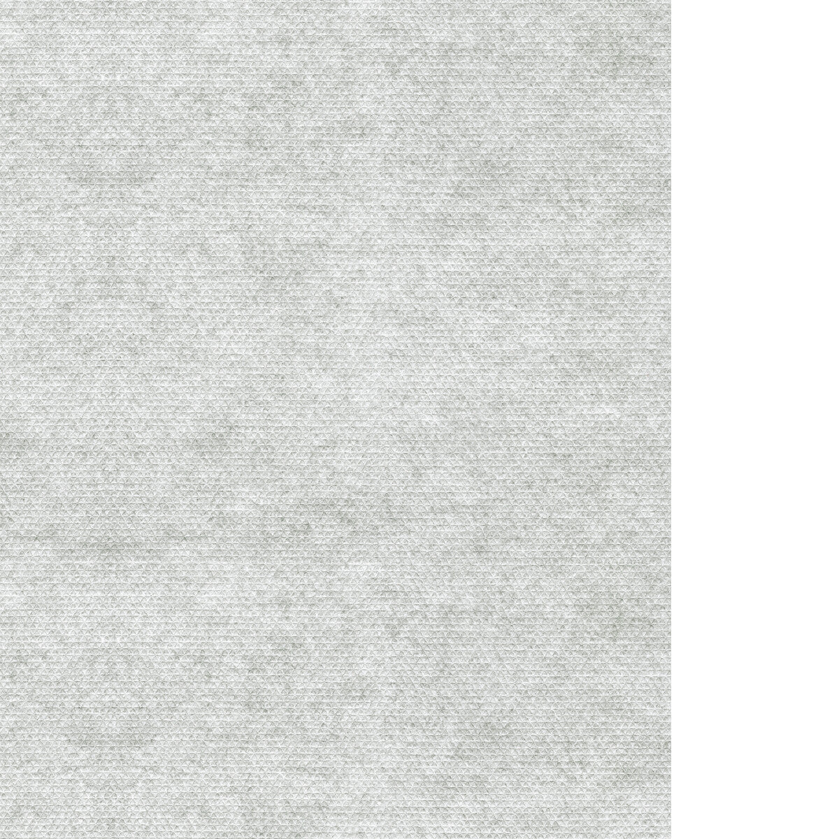 WAC1242-WT SILHOUETTE GHOST WINFIELD THYBONY Wallpaper
