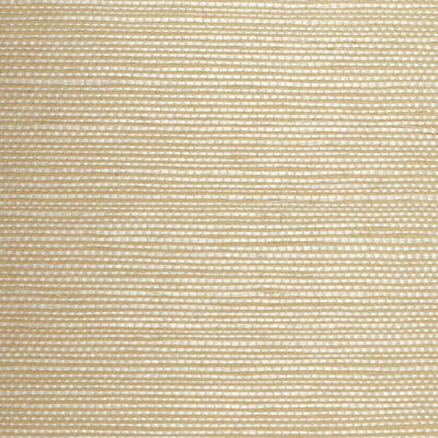 WBG5101-WT PLAIN GROUNDS WINFIELD THYBONY Wallpaper