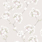 WDR1015-WT WILMA WHISPER WINFIELD THYBONY Wallpaper