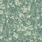 WDR2001-WT WALDEN FOREST WINFIELD THYBONY Wallpaper