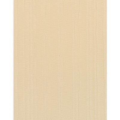 WDW2167-WT MANGROVE DAYLIGHT WINFIELD THYBONY Wallpaper