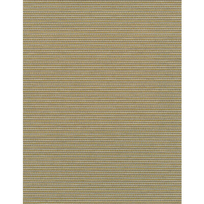 WDW2338-WT ELZA WILD RICE WINFIELD THYBONY Wallpaper