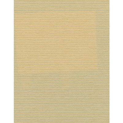 WDW2339-WT ELZA CLAM SHELL WINFIELD THYBONY Wallpaper