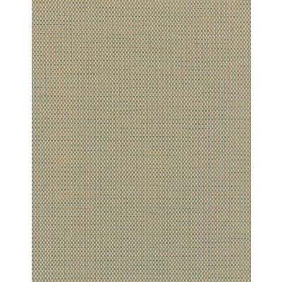 WDW2350-WT CAMILLE CASHEW WINFIELD THYBONY Wallpaper