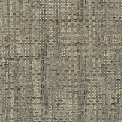 WDW2395-WT CATALINA WEAVE AGAVE WINFIELD THYBONY Wallpaper