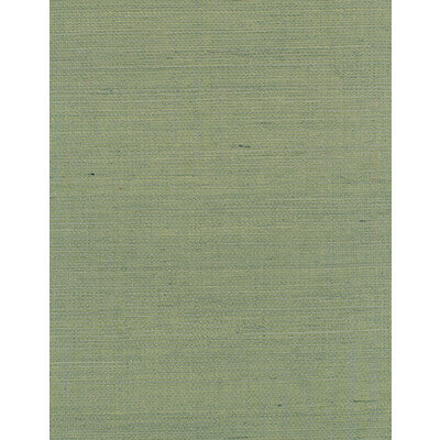 WDW2412-WT DISTINCTIVE SISALS CACTUS WINFIELD THYBONY Wallpaper