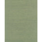 WDW2412-WT DISTINCTIVE SISALS CACTUS WINFIELD THYBONY Wallpaper