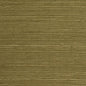 WDW2413-WT DISTINCTIVE SISALS MOSS WINFIELD THYBONY Wallpaper