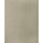 WFT1677-WT BALEN WARM GRAY WINFIELD THYBONY Wallpaper
