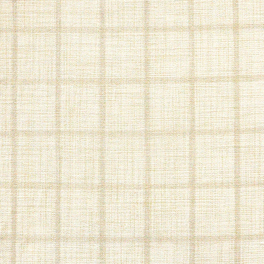 WH3609 Maxwell DRAPERY/MULTI-STRIPE/CHECK # 609 ALABASTER STRIPES&CHECKSII