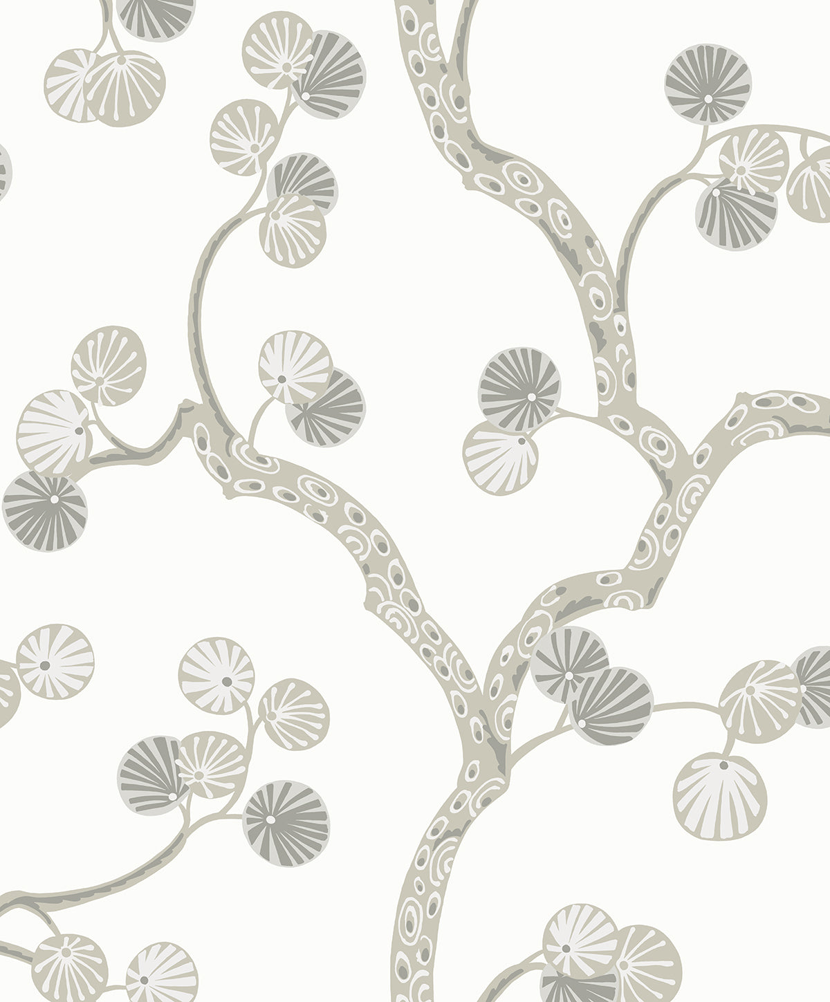 WH41008 Seabrook Designs Piano Wallpaper Allegra Branches Cotton & Fog