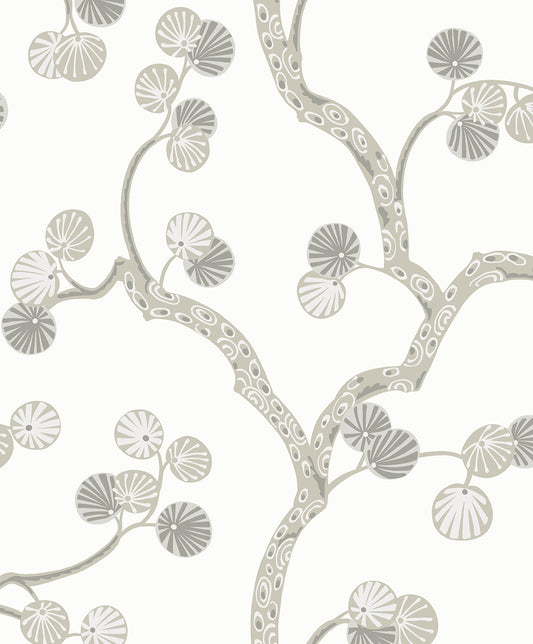 WH41008 Seabrook Designs Piano Wallpaper Allegra Branches Cotton & Fog