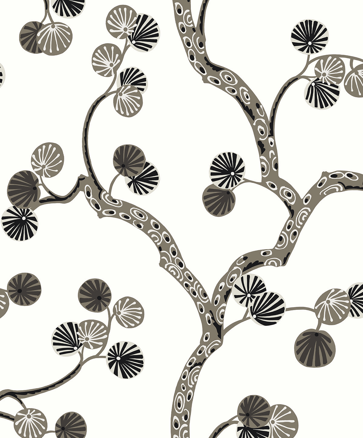 WH41018 Seabrook Designs Piano Wallpaper Allegra Branches Cream & Rhino