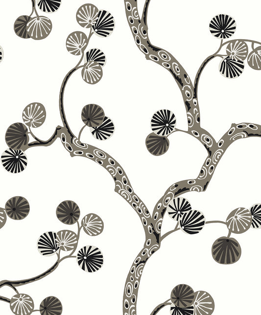 WH41018 Seabrook Designs Piano Wallpaper Allegra Branches Cream & Rhino