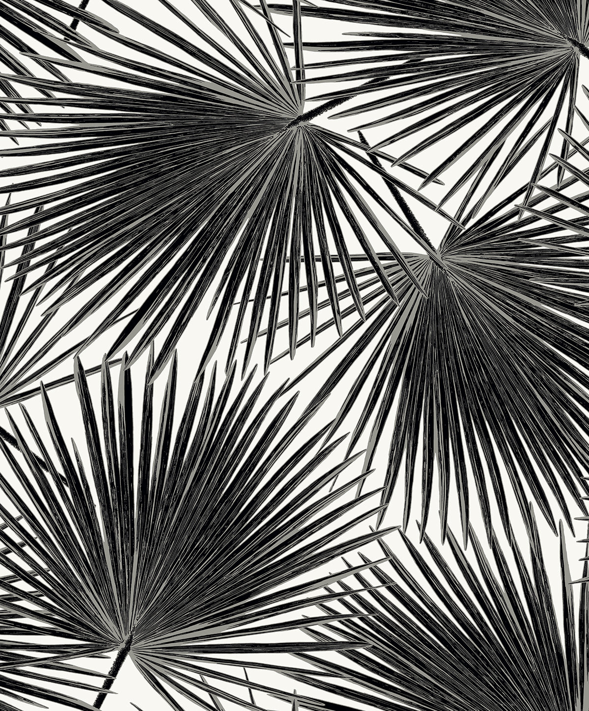 WH41500 Seabrook Designs Piano Wallpaper Elvis Palms Inky
