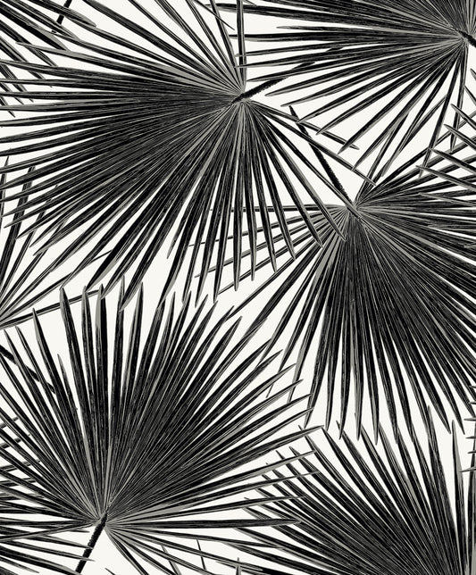 WH41500 Seabrook Designs Piano Wallpaper Elvis Palms Inky
