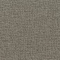 WHF1537-WT RADIATE GRAPHITE WINFIELD THYBONY Wallpaper