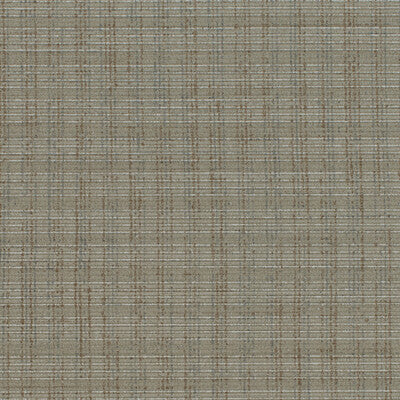 WHF1603-WT ABBEYWOOD CATTAIL WINFIELD THYBONY Wallpaper
