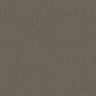 WHF1709-WT CONWAY BARK WINFIELD THYBONY Wallpaper